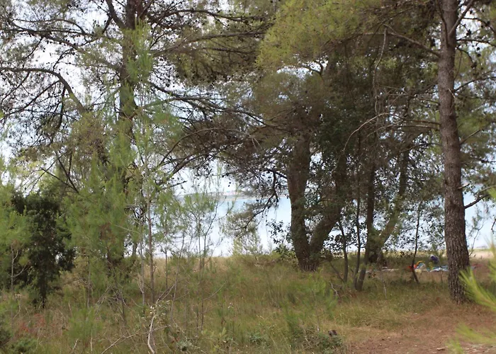 Дом отдыха House 