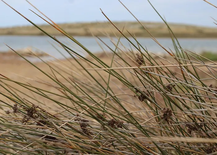 Σπίτι διακοπών House 